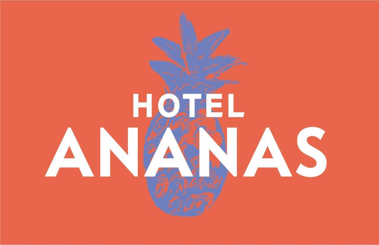 Hotel Boutique Ananas Cambaquara Kültér fotó